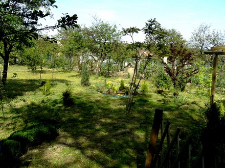 View across lower garden from bottom of path.