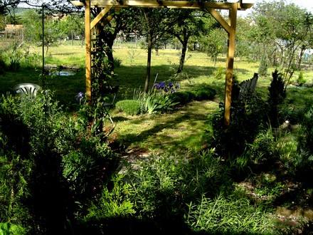View of orchard looking through left arch.