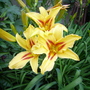 July_12th_00002
