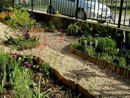 Front garden on May 8th