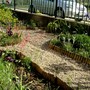 Front garden on May 8th