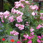 July_12th_00032