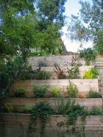 Garden 2007