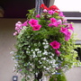 July_12th_00045
