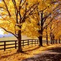 Autumn a beautiful and colourful time of the year!