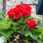 July_12th_00056