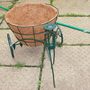 Garden_9th_may_005