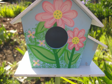 A garden flower photo
