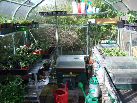 Full greenhouse.