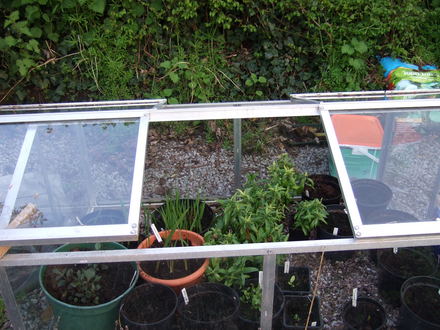 Cold frame.