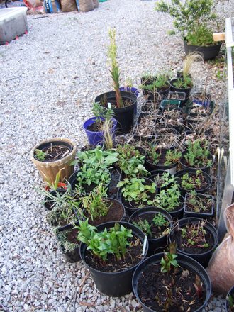 Nursery 1