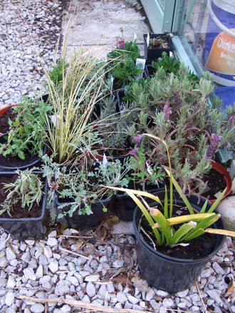 Nursery