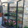 Wall_garden