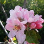 Dscf0378