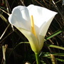 Dscf0407