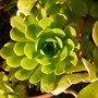 Dscf0424