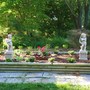 My Vegetable Garden