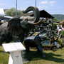 Malvern Spring Show 2008