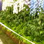 Malvern Spring Show 2008
