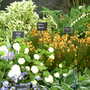 Malvern Spring Show 2008