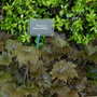 Malvern Spring Show 2008