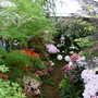 Malvern Spring Show 2008