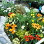 Malvern Spring Show 2008