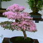 2008_shows_024