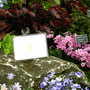 2008_shows_055