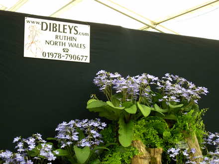 Malvern Spring Show 2008