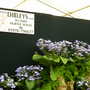 2008_shows_056
