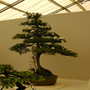 2008_shows_071