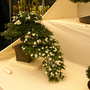 2008_shows_073