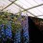 2008_shows_088