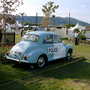 Malvern Spring Show 2008
