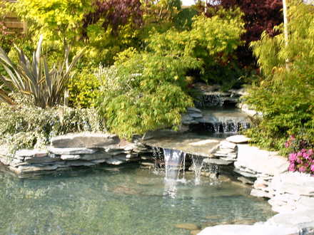 Malvern Spring Show 2008
