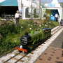 Malvern Spring Show 2008