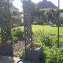 A garden flower photo