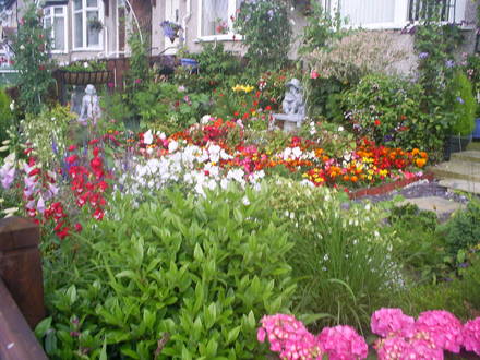 front garden