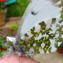 Img_1376