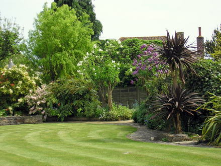 A garden flower photo