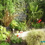Imgp0996
