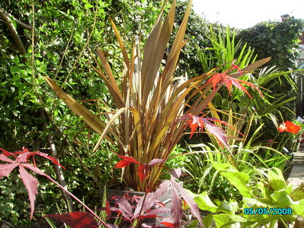 My Tropical corner, Filling up,