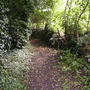 Brens_photos_167