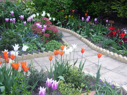 Winter/Spring garden