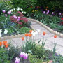 Winter/Spring garden
