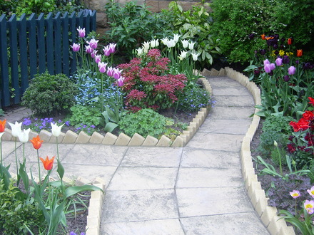 A garden flower photo