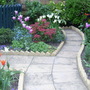 A garden flower photo