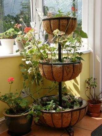 planter waiting to go outside