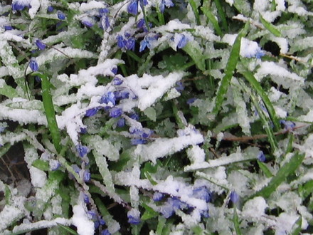 Snow!